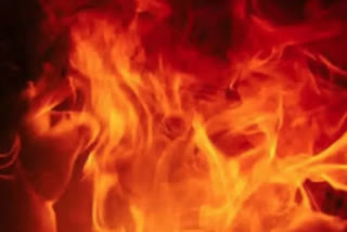 Mumbai: Fire Erupts In Scrap Godown