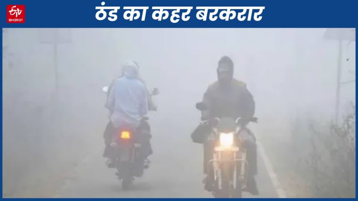 severe cold continues in delhi