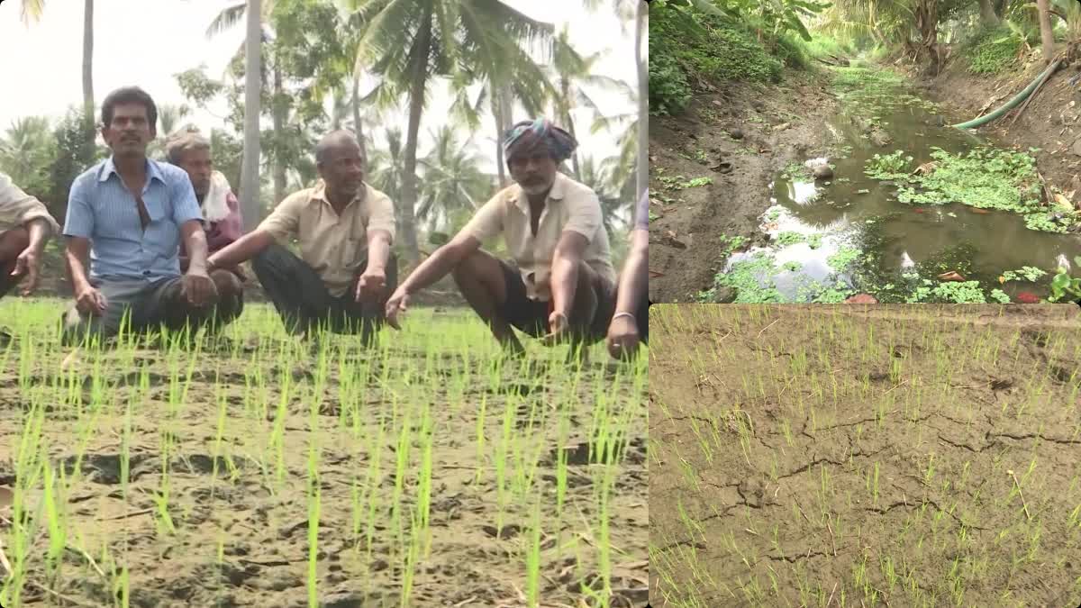 irrigation_water_problems_in_kakinada_district