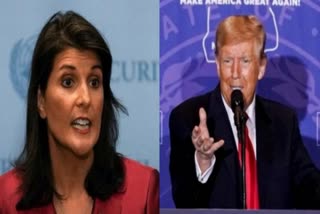 US Nikki Haley congratulates Trump