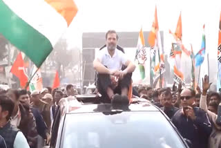 Case registered against Congress leaders including Rahul Gandhi in Assam during Bharat Jodo Nyay Yatra