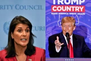 US Nikki Haley Congratulates Trump