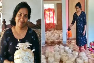 Indoor Mushroom Cultivation  വീടിനകത്ത് കൂൺ കൃഷി  ഷീബ കൂൺ കൃഷി  kasargod sheeba mushoroom farming