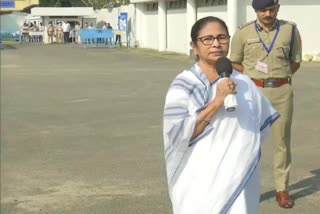 Mamata Banerjee sustains injury