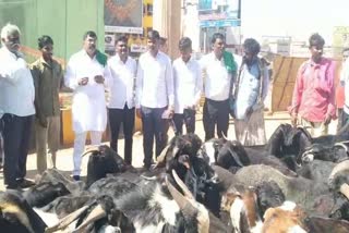 protest-by-shepherds-demanding-fulfillment-of-various-demands-in-hubli