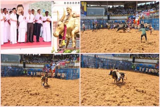 Jallikattu Arena inauguration