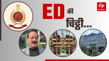 ED on Pakhro Illegal Logging Case