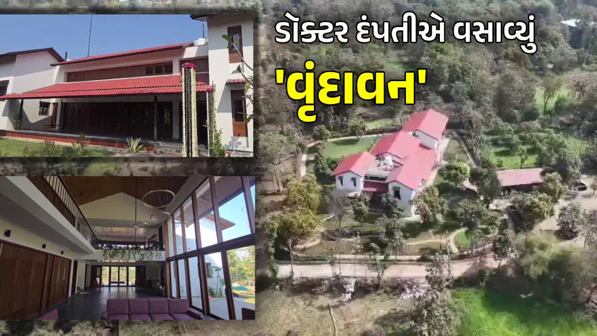 વલસાડના ડૉક્ટર દંપતીનું ઈકો-ફ્રેન્ડલી ઘર