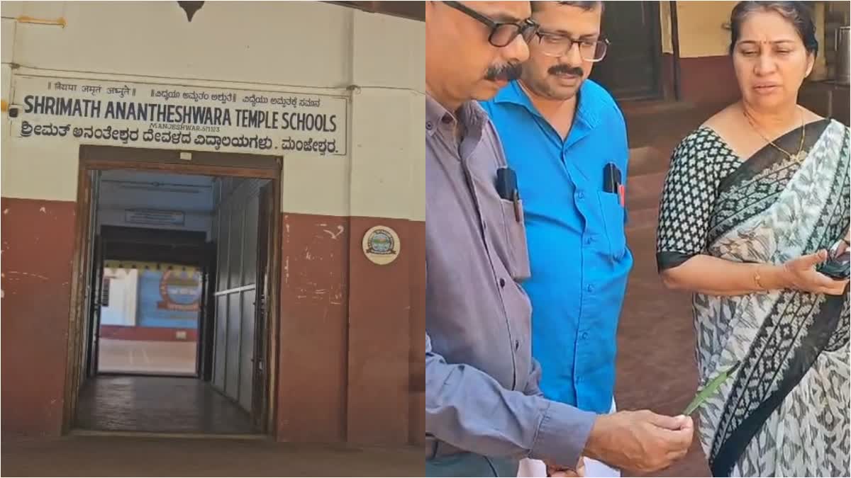 MANJESWARAM SAT HIGH SCHOOL  MOTH INFESTATION IN SCHOOL  കാസര്‍കോട് സ്‌കൂളില്‍ പുഴു ശല്യം  മഞ്ചേശ്വരം എസ്എടി ഹൈസ്‌കൂള്‍