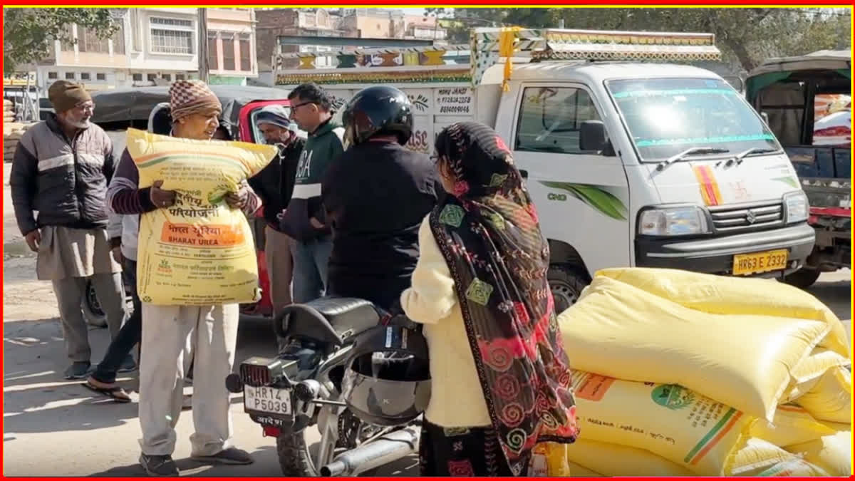 Fertilizer in Charkhi Dadri