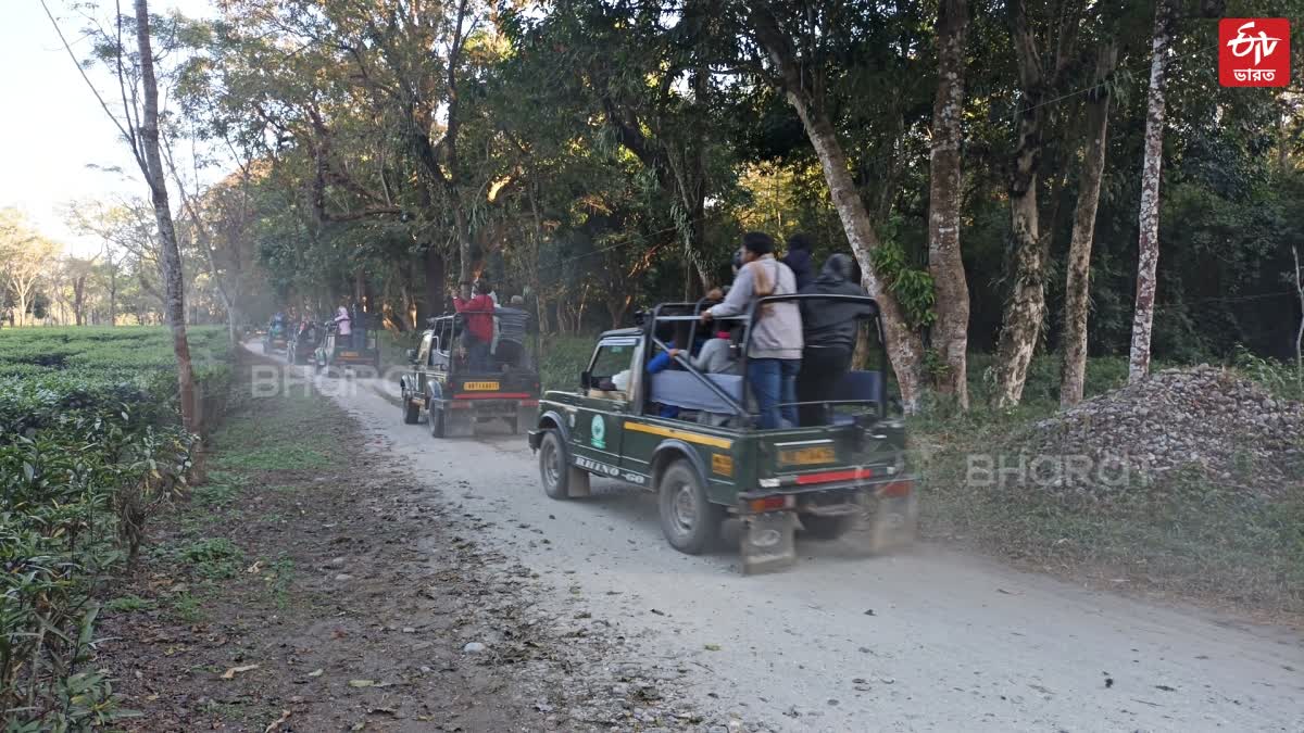 Jungle Entry Free in West Bengal