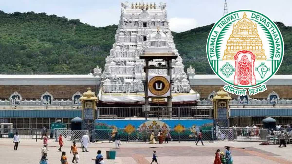 Ratha Saptami 2025 in Tirumala