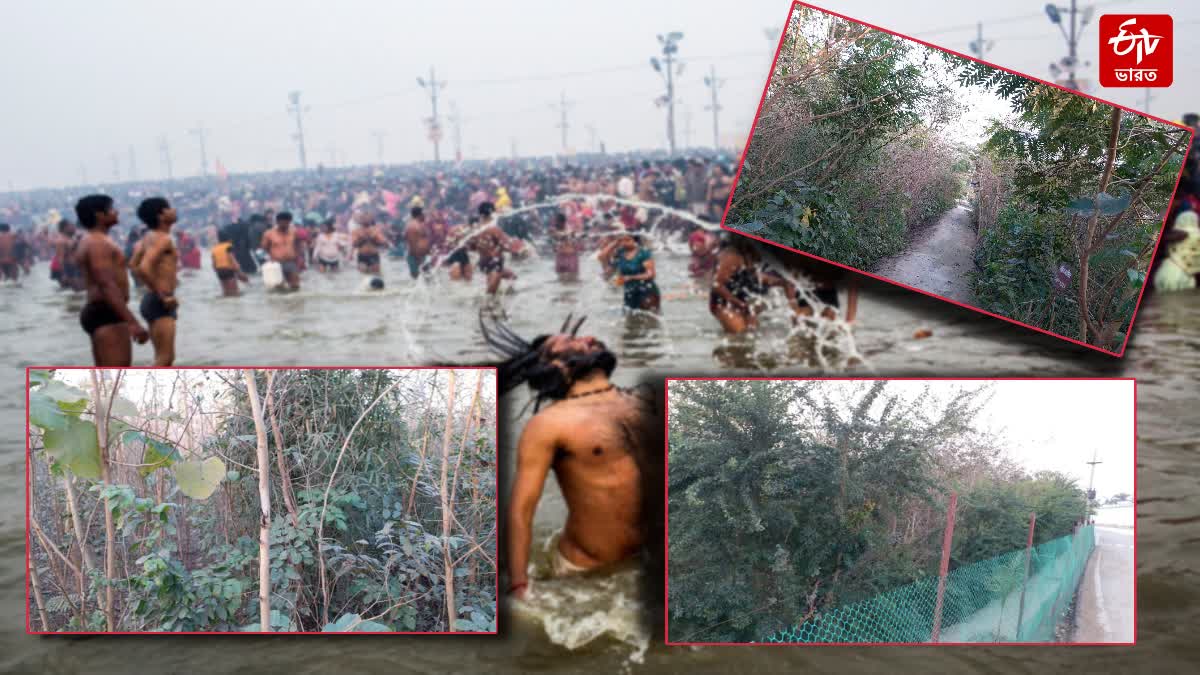 MAHA KUMBH MELA 2025