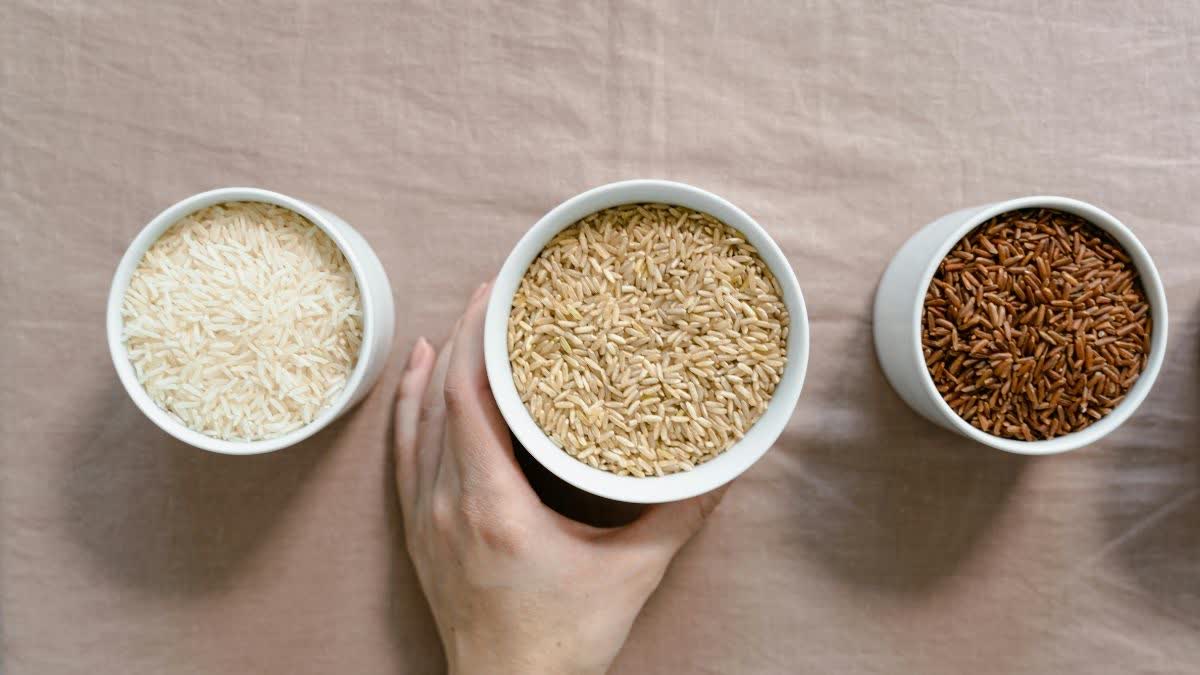 BROWN VS OTHER COLOUR RICE  WHICH RICE BEST FOR HEALTH  TYPE OF RICE  WHICH COLOUR RICE IS BEST