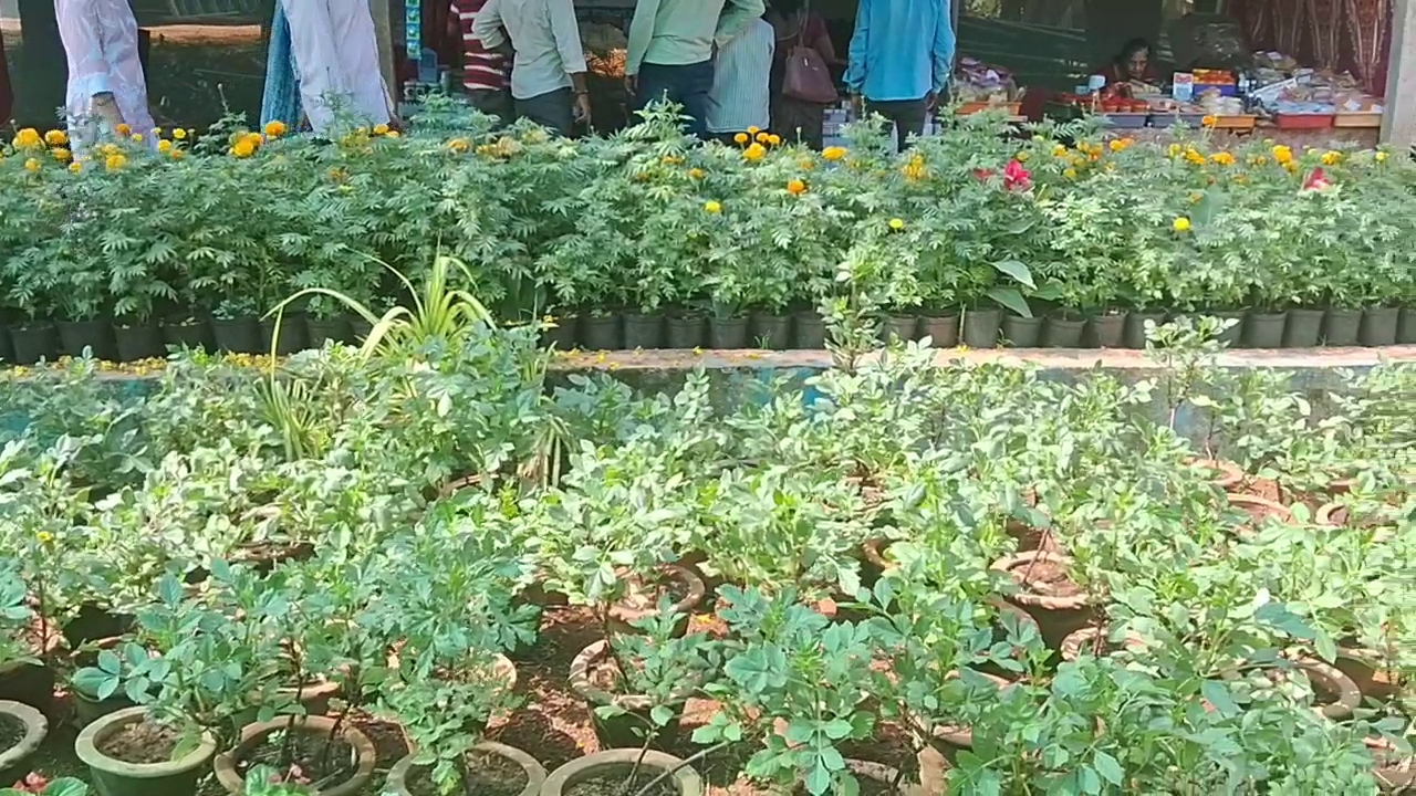 MANGALURU FLOWER EXHIBITION  DAKSHINA KANNADA  ಫಲಪುಷ್ಪ ಪ್ರದರ್ಶನ  THE EIFFEL TOWER OF FLOWERS