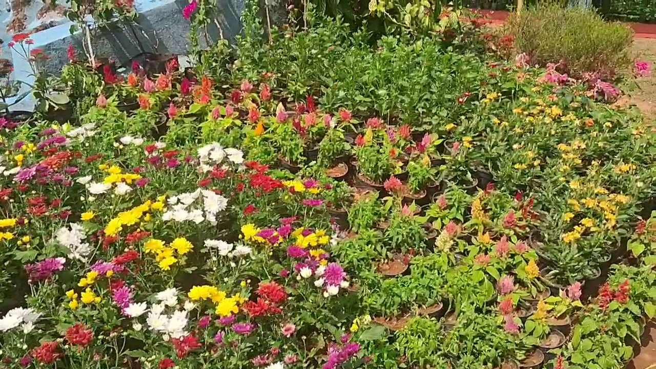 MANGALURU FLOWER EXHIBITION  DAKSHINA KANNADA  ಫಲಪುಷ್ಪ ಪ್ರದರ್ಶನ  THE EIFFEL TOWER OF FLOWERS