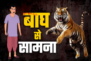 UMARIA MAN FIGHTS TIGER