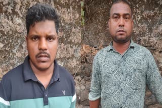 GANJA SEIZED FROM ODISHA NATIVES  കോഴിക്കോട് കഞ്ചാവ് വേട്ട  GANJA SEIZED IN VELLIPARAMBA  LATEST NEWS IN MALAYALAM