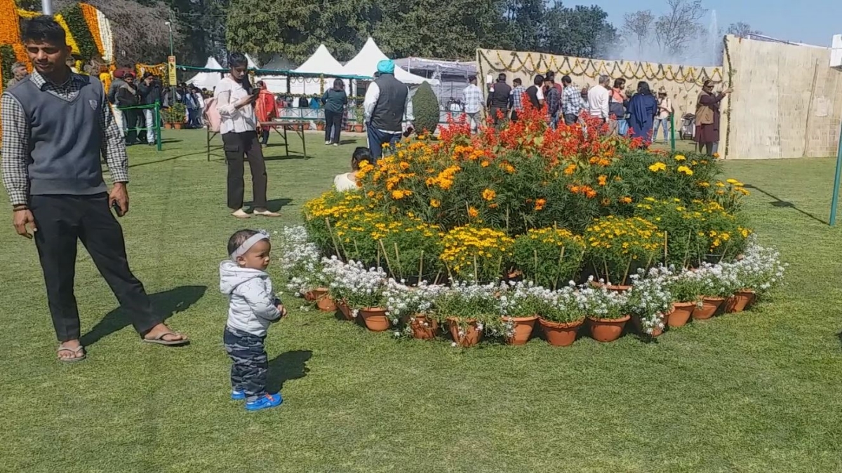 chandigarh-rose-festival-people-arriving-in-large-numbers-enjoyed-colorful-programs