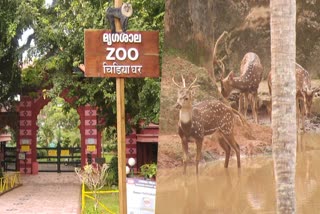 Thiruvananthapuram zoo  summer heat in kerala  തിരുവനന്തപുരം മൃഗശാല  വേനൽ ചൂട്  sun burn