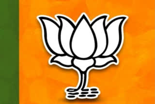 Dozens of Pahari activists, including a former Jammu and Kashmir MLC, joined the BJP on Saturday and pledged to strengthen the party at the grassroots level.