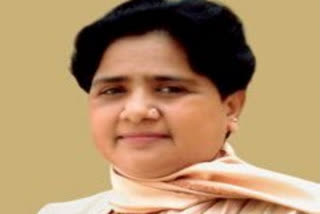 Bahujan Samaj Party chief Mayawati on Saturday paid tributes to Sant Ravidas on his birth anniversary and said it is important to be cautious about those who bow before him for "political gains".