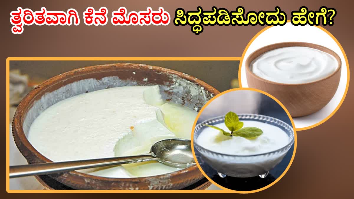 YOGURT MAKING PROCESS  TIPS FOR MAKING HEALTHY CURD  HOW TO MAKE INSTANT YOGURT  ಕೆನೆ ಮೊಸರು