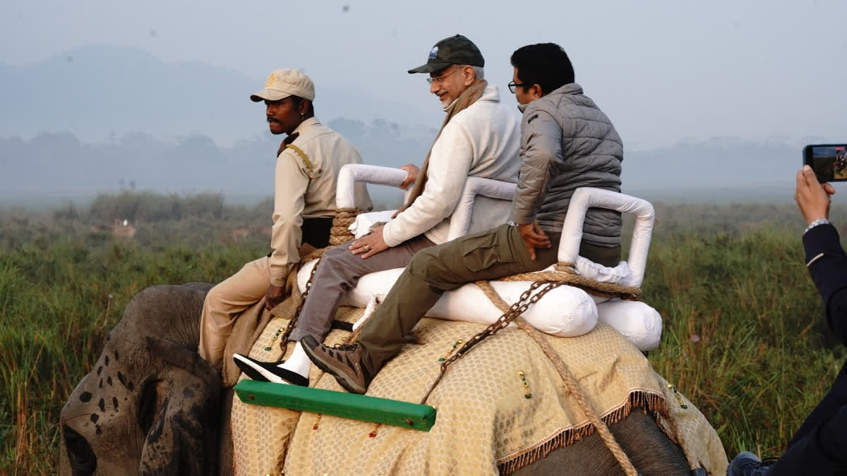 External Affairs Minister S Jaishankar during an early morning safari at Kaziranga National Park, Assam.