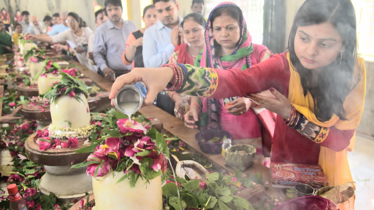 which flowers should offer to Shiva