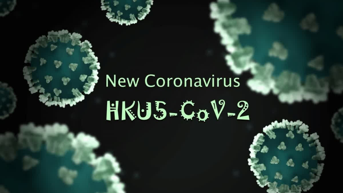 New bat coronavirus found in China, can attack humans! Know its symptoms