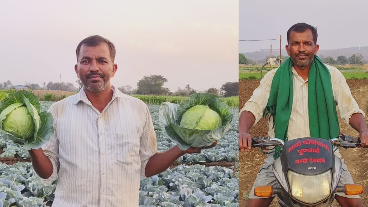 Cabbage Farmer Success Story