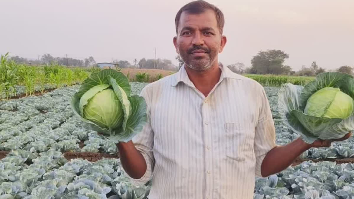 'Cabbage Naganna' becomes a millionaire.