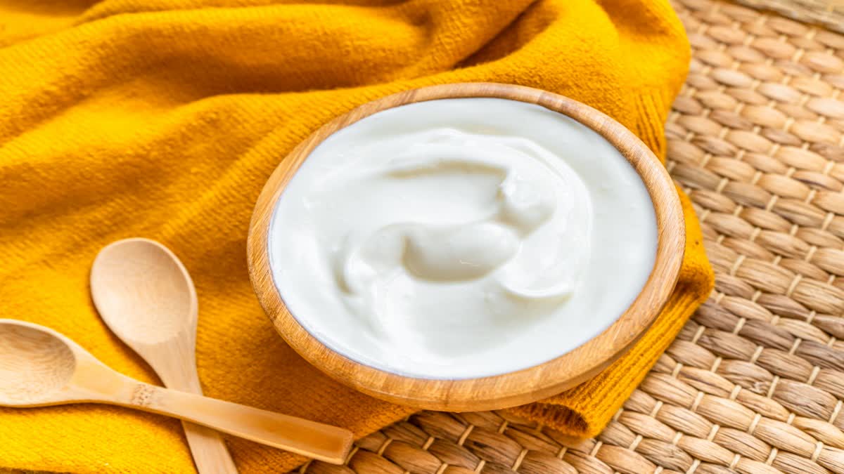 IS Curd Reduce Colon Cancer Risk