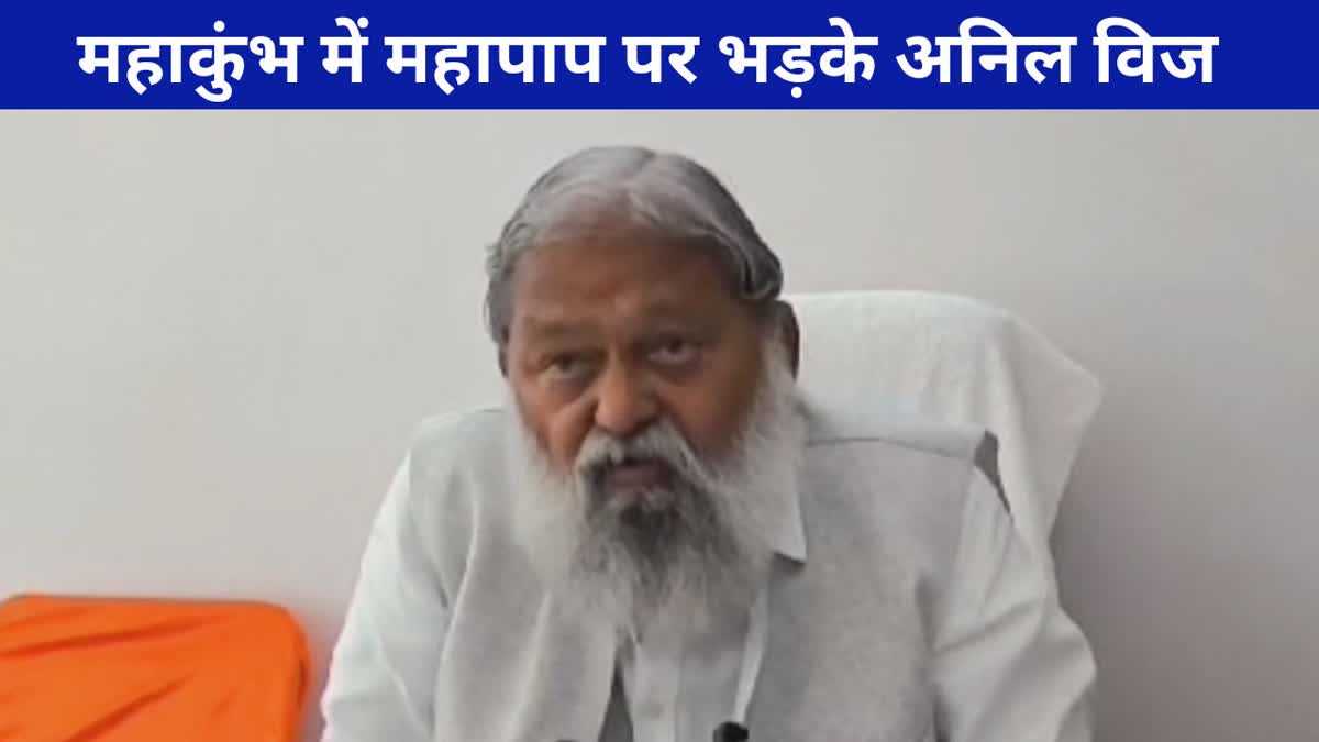 ANIL VIJ ON MAHAKUMBH VIDEOS