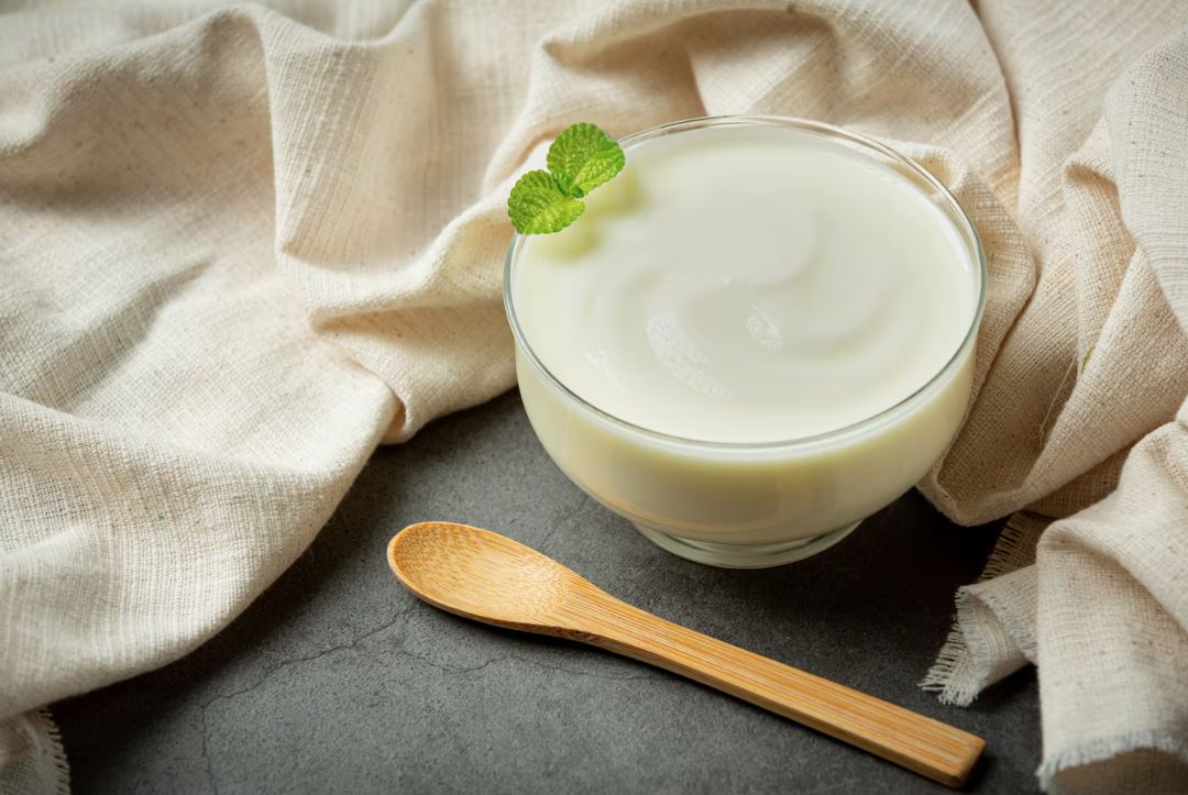 YOGURT MAKING PROCESS  TIPS FOR MAKING HEALTHY CURD  HOW TO MAKE INSTANT YOGURT  ಕೆನೆ ಮೊಸರು