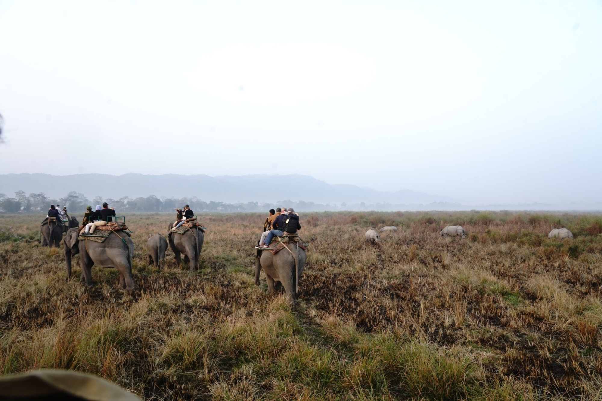 External Affairs Minister S. Jaishankar during a elephant safari at the Kaziranga National Park, Assam, Monday, Feb. 24, 2025. (