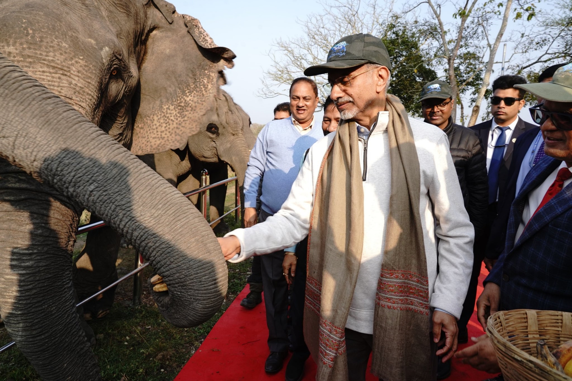 External Affairs Minister S Jaishankar feeds an elephant during an early morning safari at Kaziranga National Park, Assam.