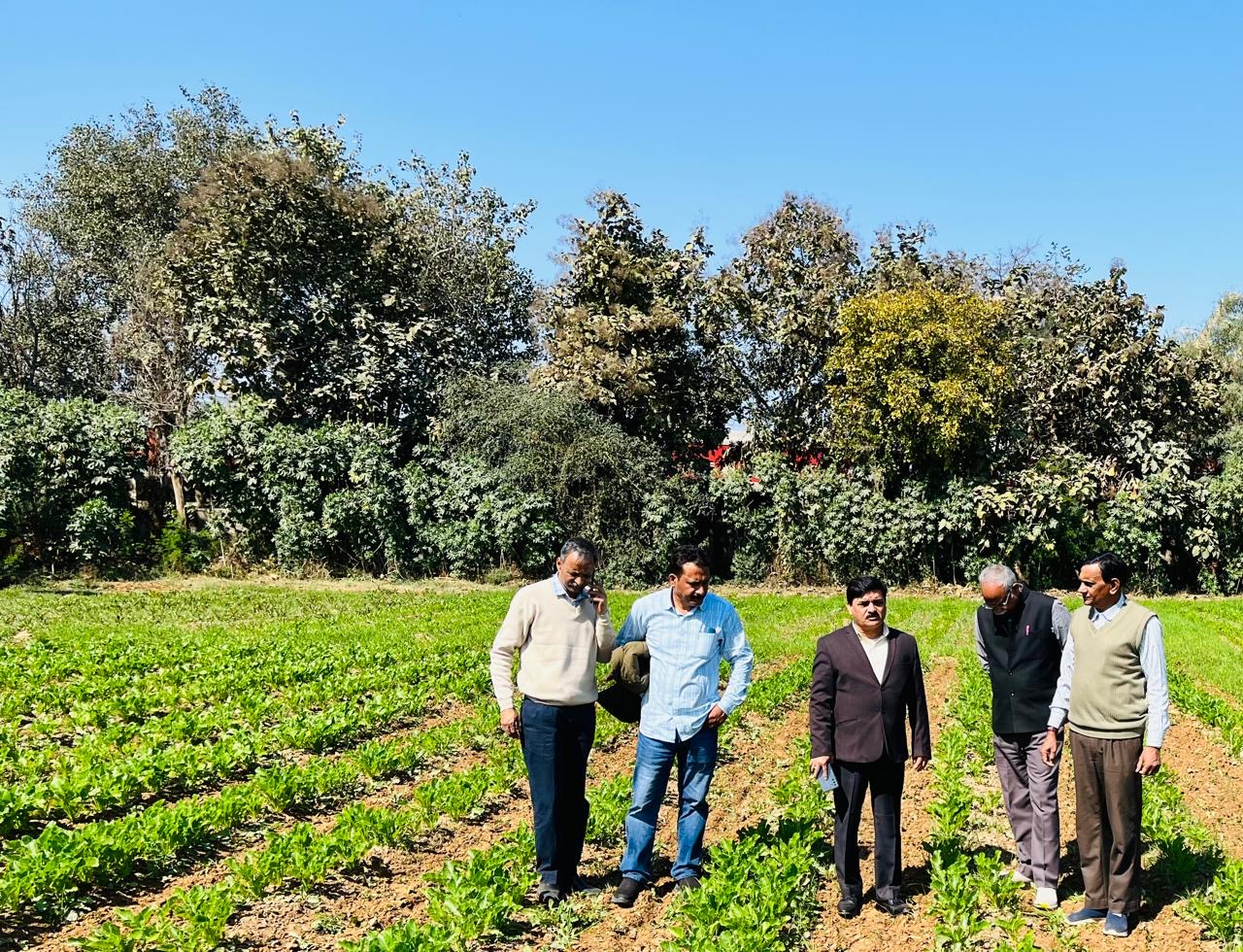 સુગર બીટની ખેતી નિહાળતા નિષ્ણાતો