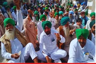 Farmers protest in Mansa