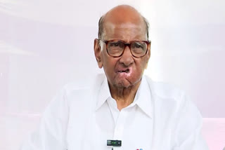 Neelam Gorhe Should Not Have Made Such A Statement During Literary Meet: Sharad Pawar