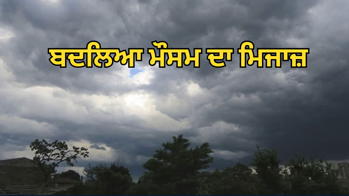 Punjab weather update