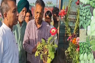 AAP MLA Vijay Singla visit at the flower show being organized in Mansa
