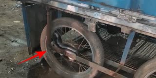 SNAKE ENTERED GOLGAPPA CART