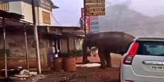 ரேஷன் கடையை உடைத்து யானை அரிசி சாப்பிடும் படம்