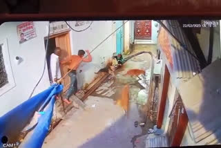 STREET DOG ATTACKS A GIRL
