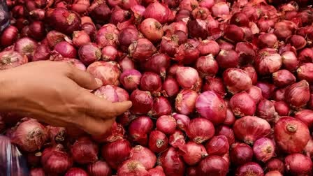 Centre withdraws 20 per cent export duty on onion applicable from 1st April -2025