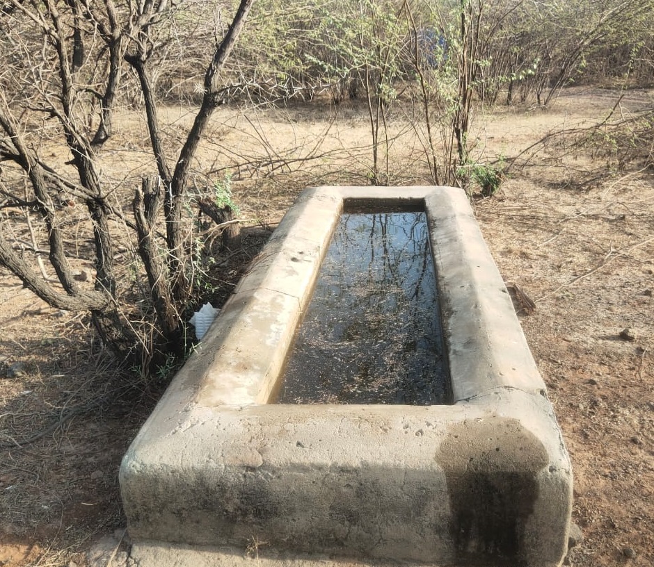 પશ્ચિમ કચ્છ વનવિભાગની સરાહનીય કામગીરી
