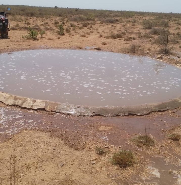પશ્ચિમ કચ્છ વનવિભાગની સરાહનીય કામગીરી