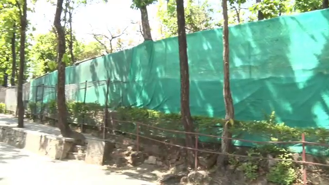 TIGERS AND LEOPARDS IN DEHRADUN ZOO