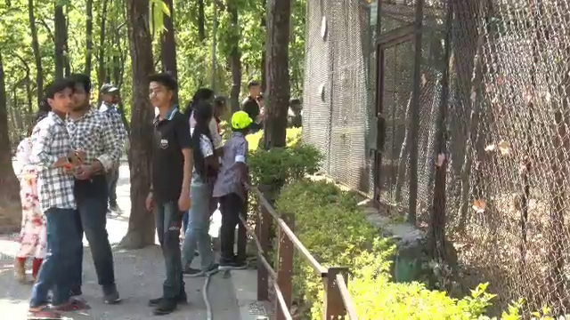 TIGERS AND LEOPARDS IN DEHRADUN ZOO